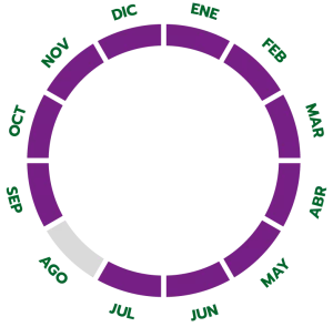 Ciclo de producción de la berenjena