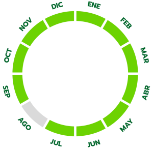 Ciclo de producción del calabacín