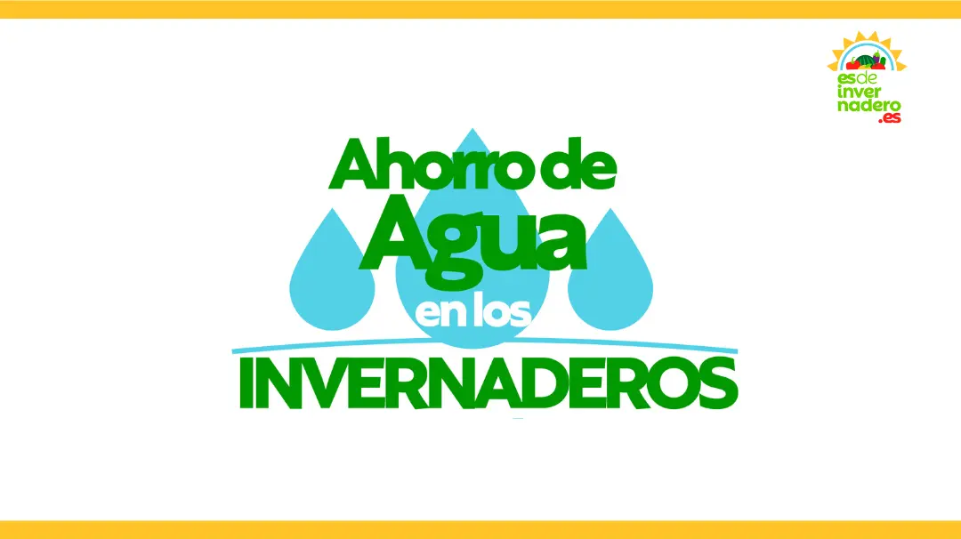 El ahorro de agua en los invernaderos