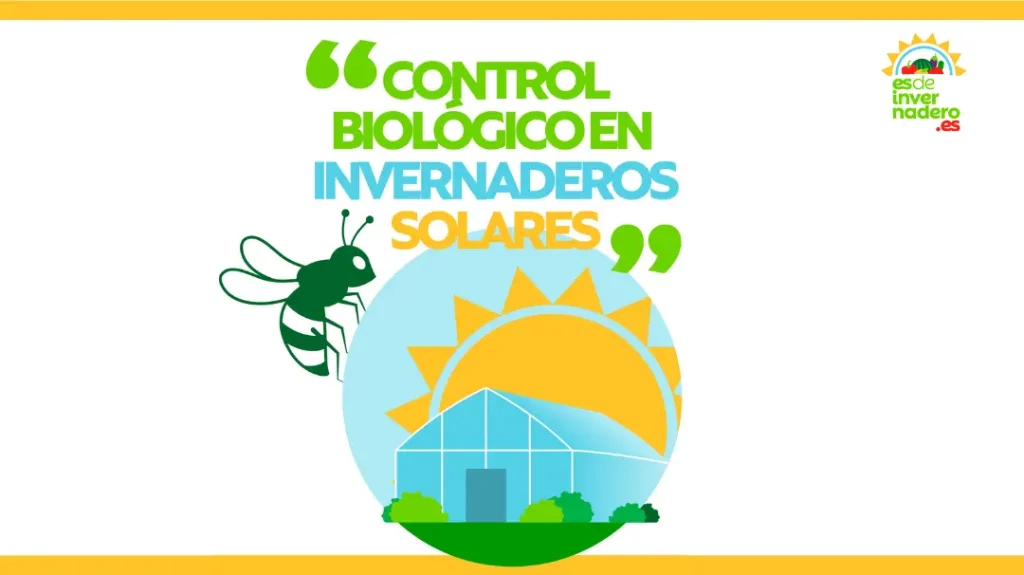 Control biológico en invernaderos solares - Blog esdeinvernadero