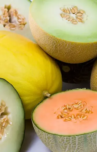 Melón, producto de invernaderos solares del sur de Europa