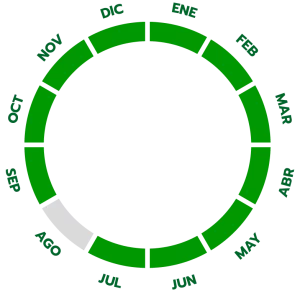 Ciclo de producción del pepino