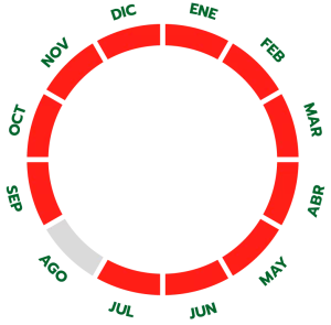 Ciclo de producción del tomate